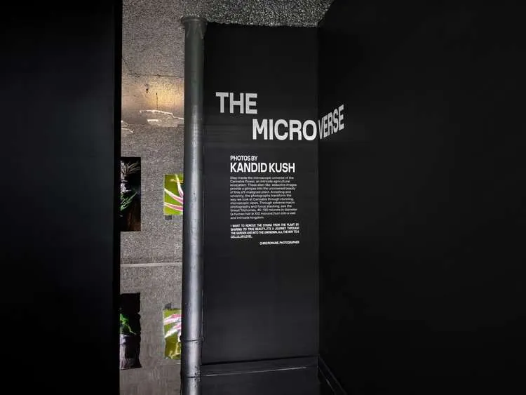 The entrance to The Microverse, a macro-photography gallery credited to Kandid Kush.