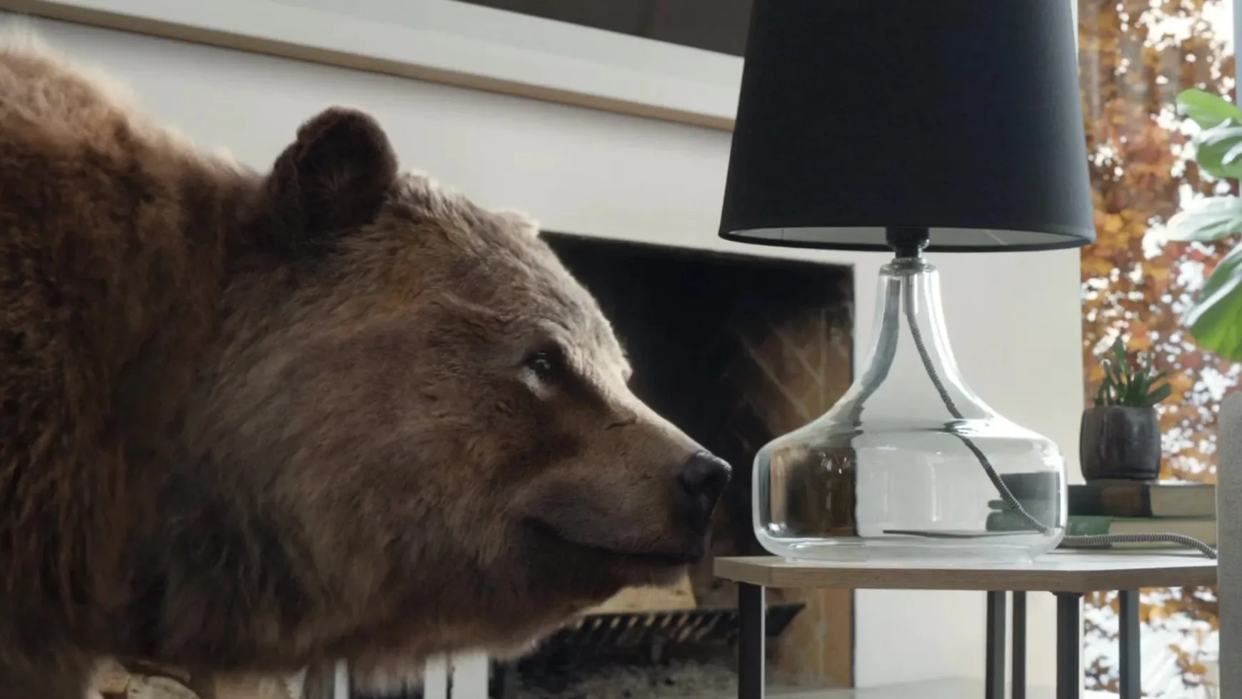 A grizzly bear leans in to sniff a glass table lamp in a bright living room.