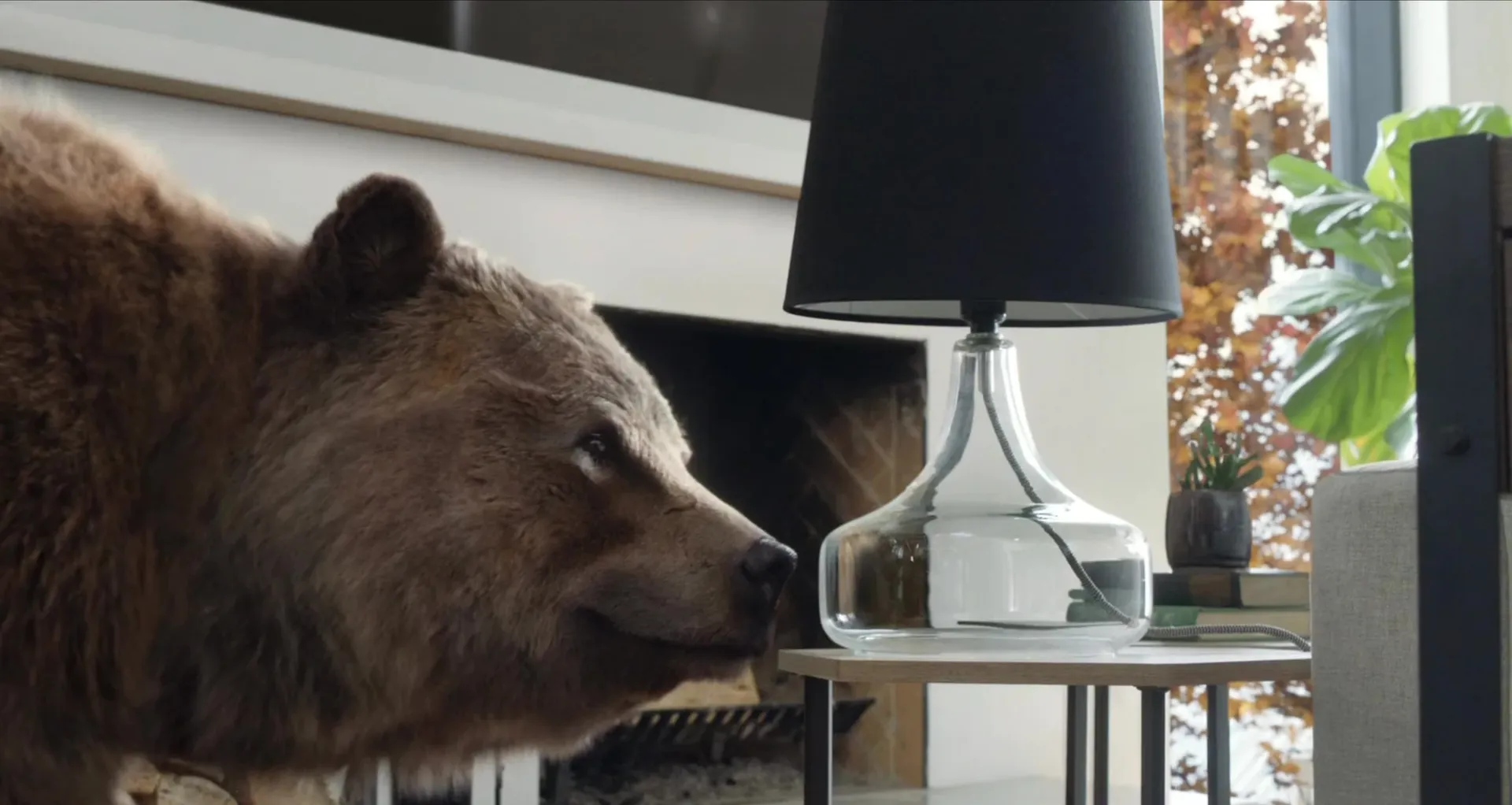 A grizzly bear sniffs a glass table lamp in a bright living room.