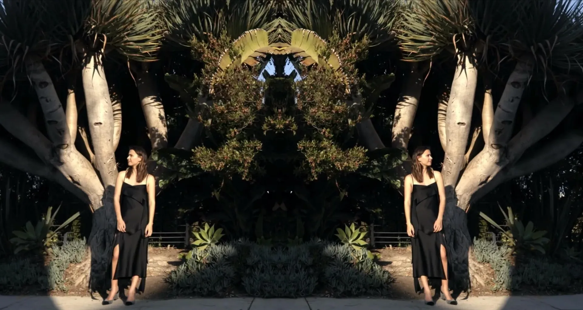 A mirrored image of a woman in a black slip dress standing beneath dragon trees in a garden.