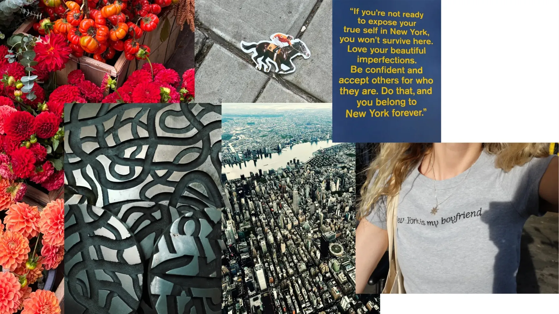 Red dahlias and heirloom tomatoes, a jockey sticker on the pavement, a New York quote in yellow on blue, a carved metal pattern, Manhattan from the air, and a New York is my boyfriend t-shirt.