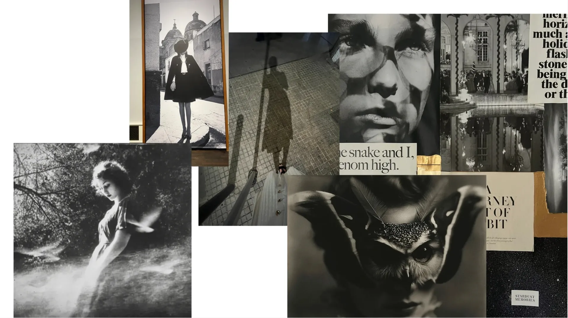 Black-and-white images: a woman in a cape and hat on a sunny street, a shadow on tiled pavement, a girl with birds in a forest, a face in dappled light, an owl and moth portrait, and collage clippings.