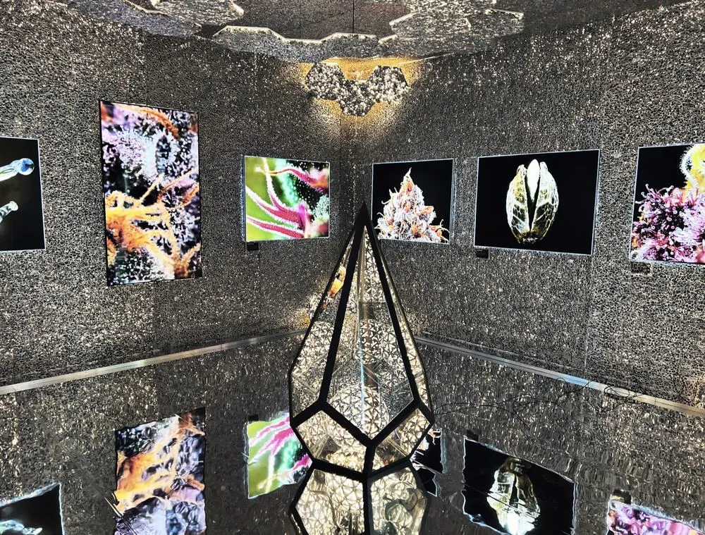 Inside The Microverse: a glittering grotto hung with backlit macro photographs of cannabis, around a geometric mirrored lantern.